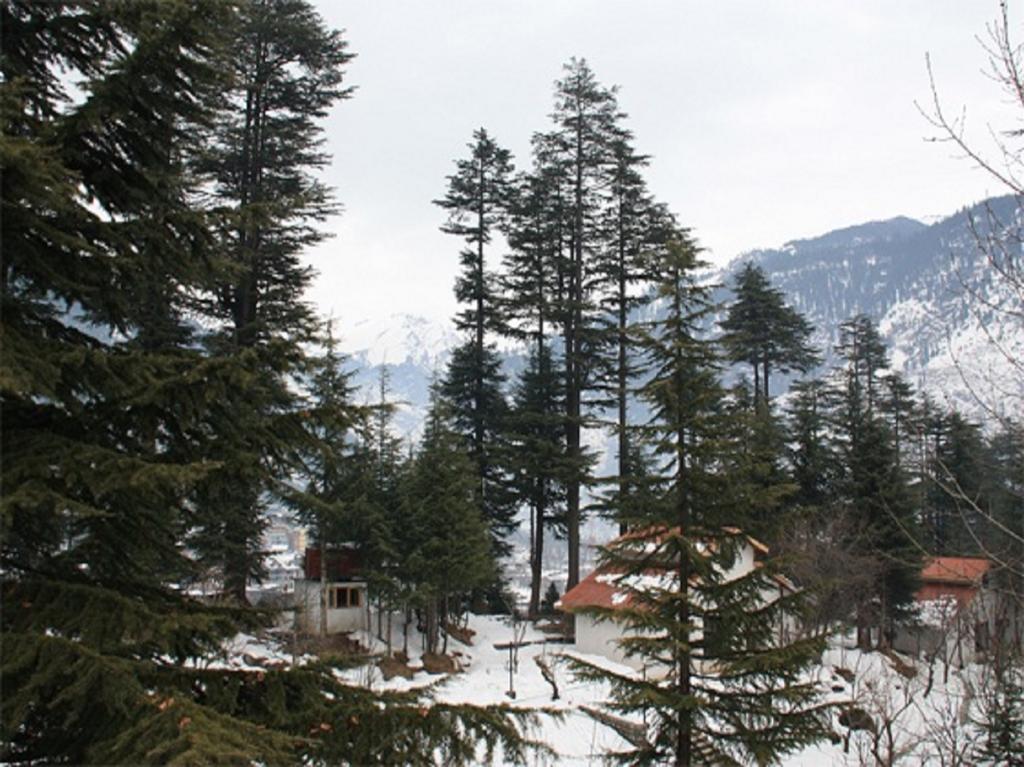 Hotel Greenfields Манали Экстерьер фото